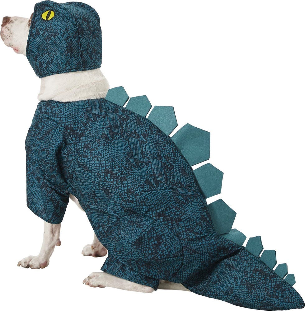 Stegosaurus Dinosaur Dog Costume