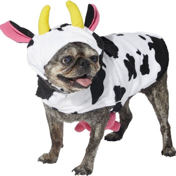 Happy Cow Dog Costume
