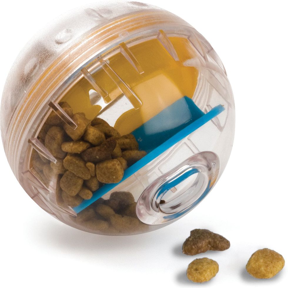 StarMark Bob-A-Lot Dog Food Treat Toy Puzzle - Product Review