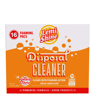 Garbage Disposal Cleaner and Deodorizer 