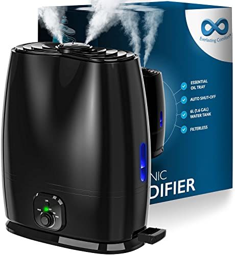 The 7 Best Humidifiers In 2022 - Humidifier Recommendations