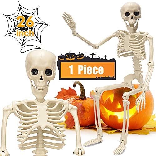 Posable Skeleton Posable Skeleton