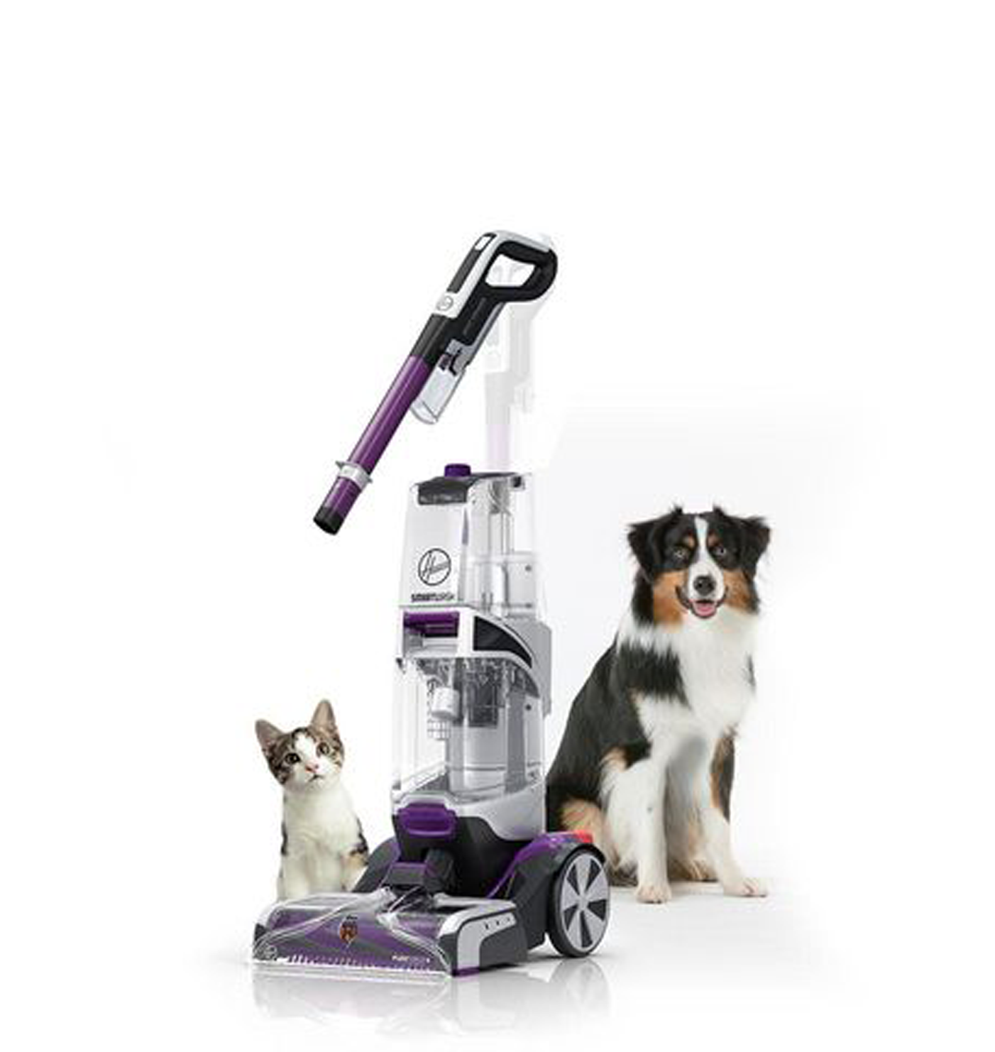 SmartWash PET Complete Automatic Carpet Cleaner