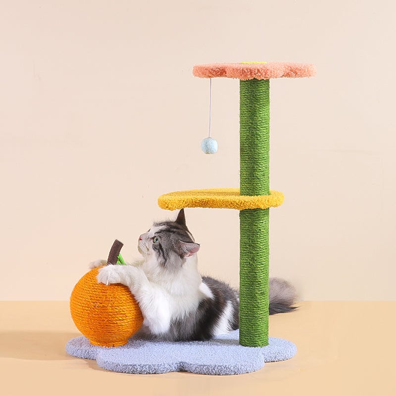 The Best 3D Printed Cat Toys & Accessories of 2023