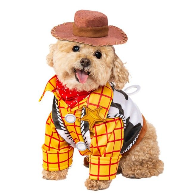 Woody Pet Costume