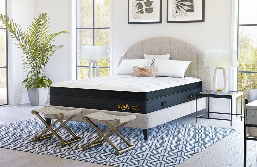 Best plush innerspring deals mattress