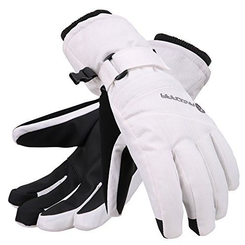 Andorra Waterproof Touchscreen Winter Gloves