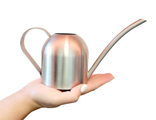 Stainless Steel Watering Can 