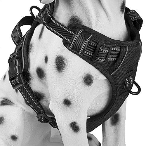 No Pull Dog Harness with Two Leash Attachments 