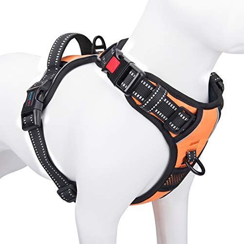 Best dog harness for hotsell puppy training