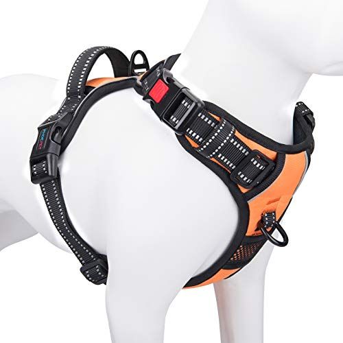 No Pull Dog Harnesses for Small Dogs
