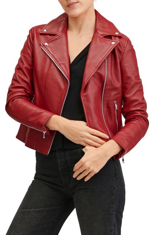 real leather jackets womens macys