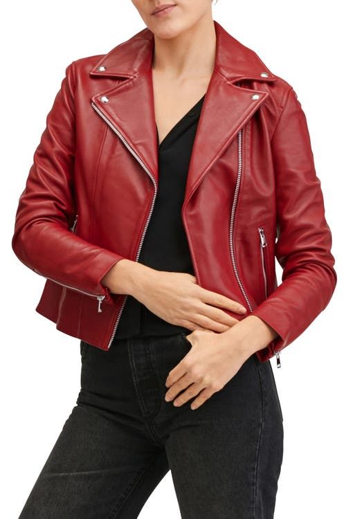 Leather Moto Jacket 