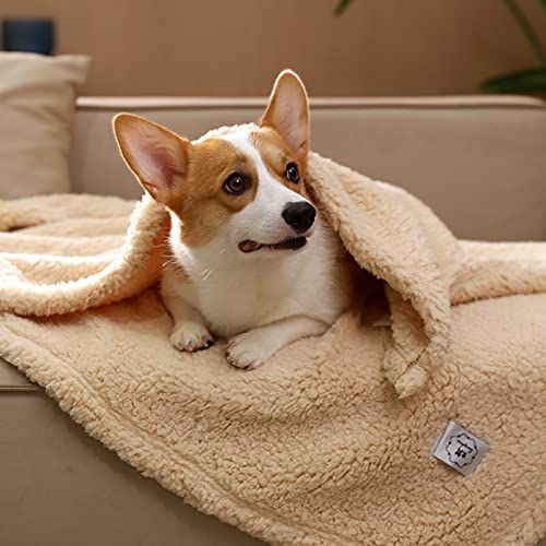 Dog discount friendly blankets