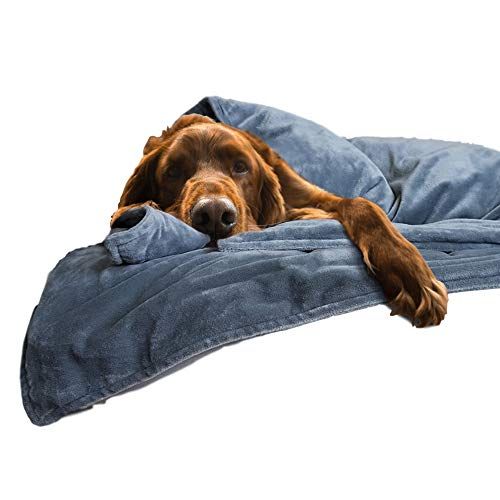 Best dog discount blanket for bed