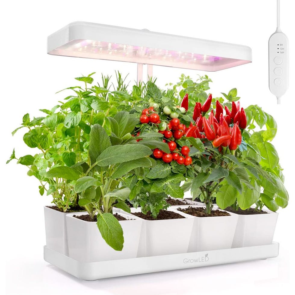 The 9 Best LED Grow Lights for 2024 - LED Grow Lights for Plants