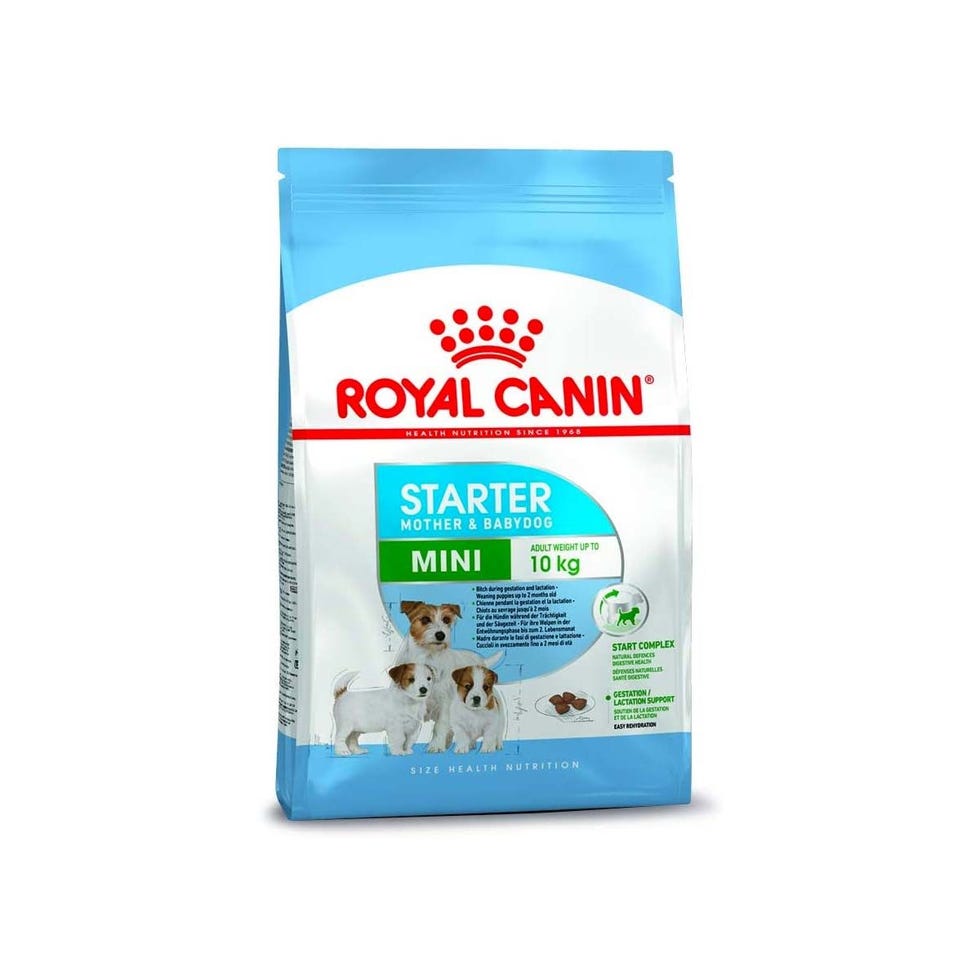 Mini Starter 