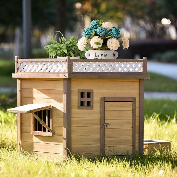 Top heated sales dog houses