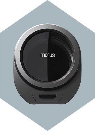 Morus Zero