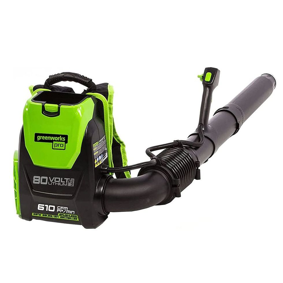 The Best Cordless Leaf Blowers 2024 Electric Leaf Blower Reviews