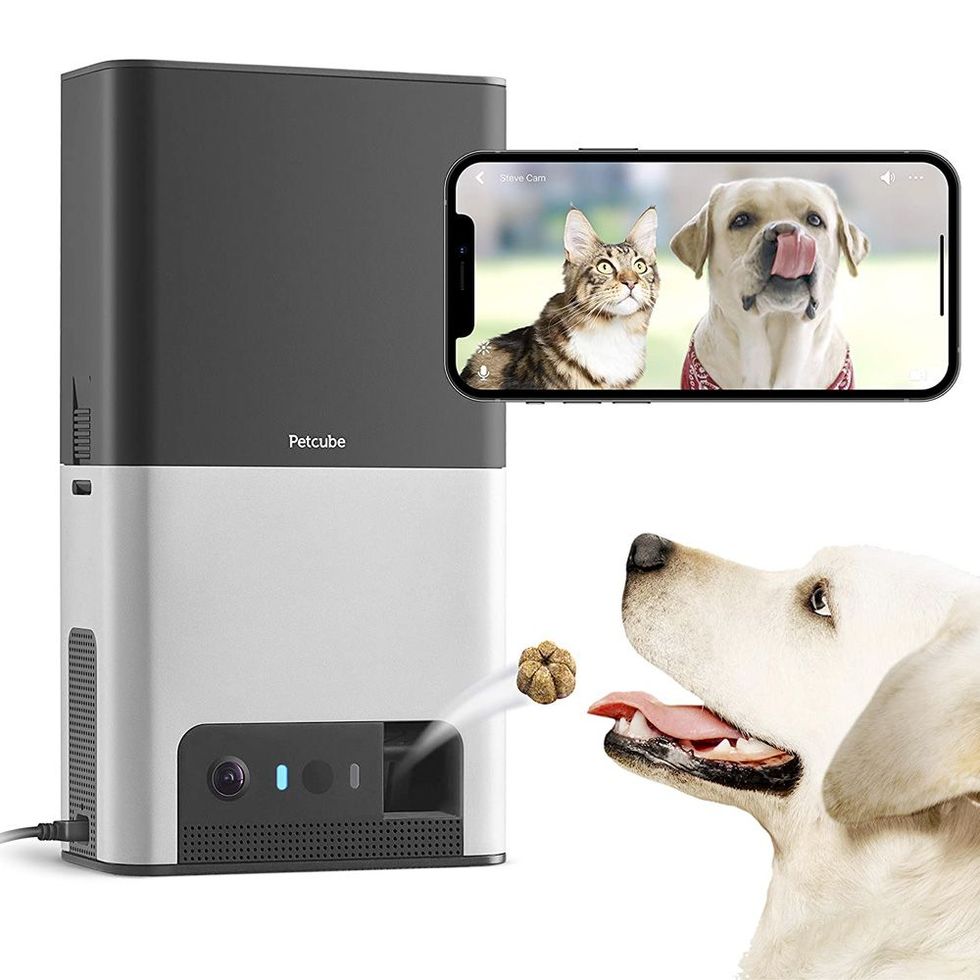  DOG CARE Dog Camera Treat Dispenser, 1080p HD 360