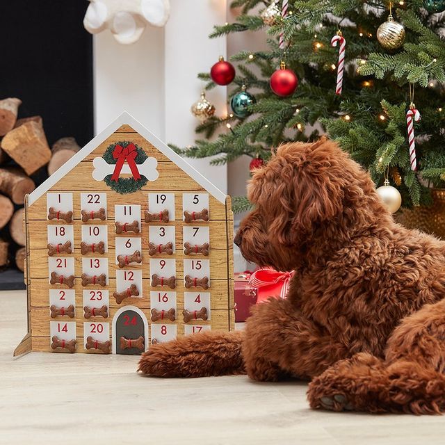 9 Best Dog Advent Calendars of 2023 DIY Advent Calendar