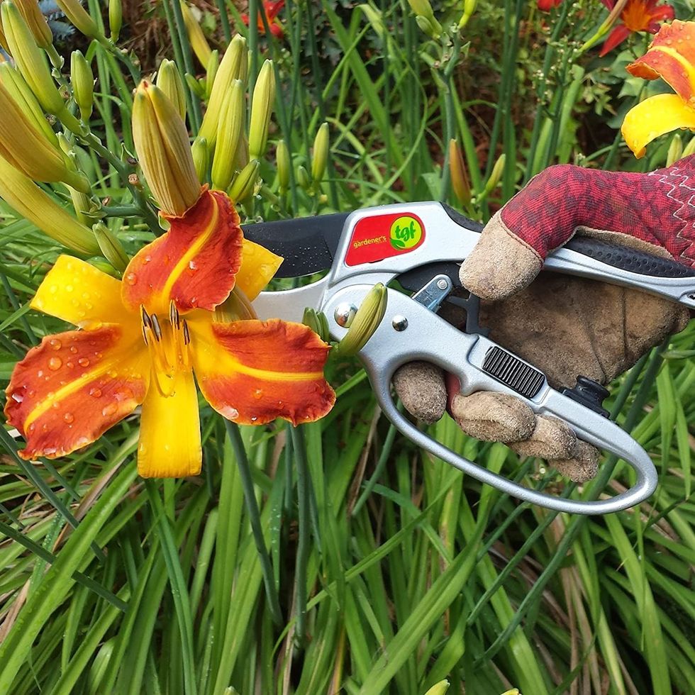 The Gardener's Friend Pruning Snips, Lightweight and Small Pruners For  Light Gardening, Great for Deadheading Flowers and Pruning Light Wood