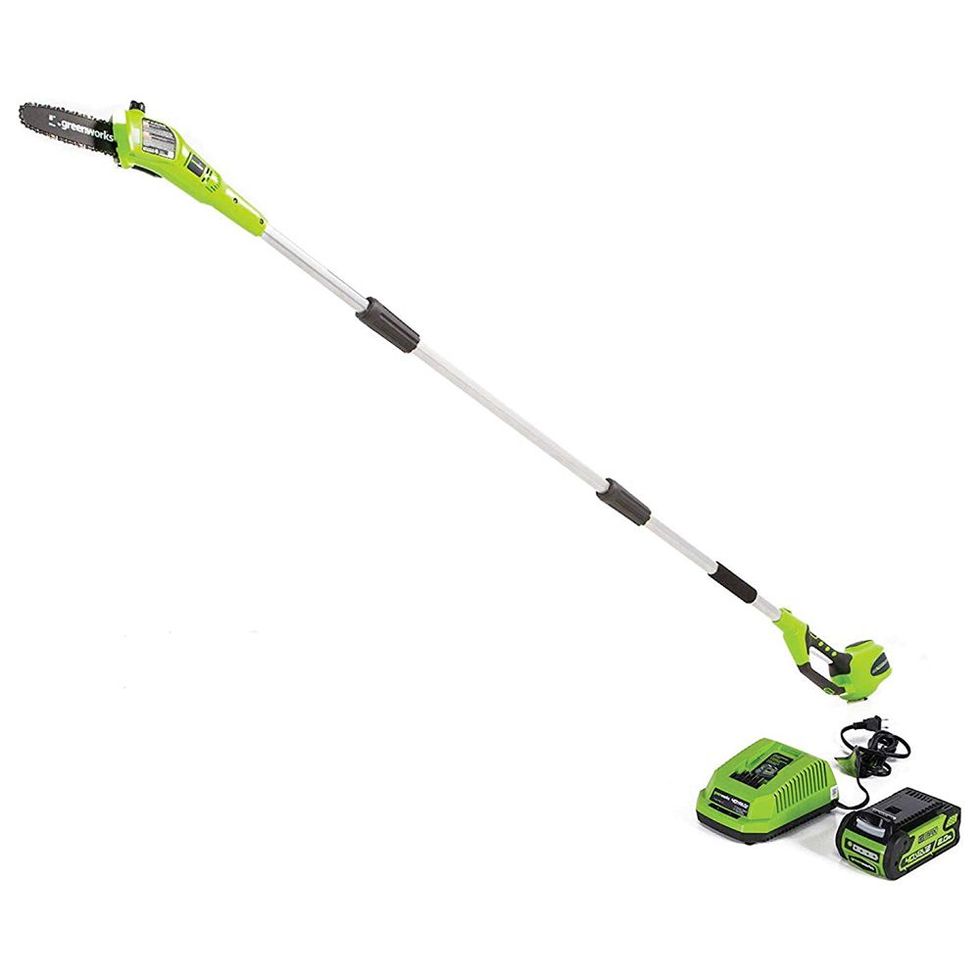 40-Volt 8-Inch Cordless Pole Saw with 2.0-Ah Battery