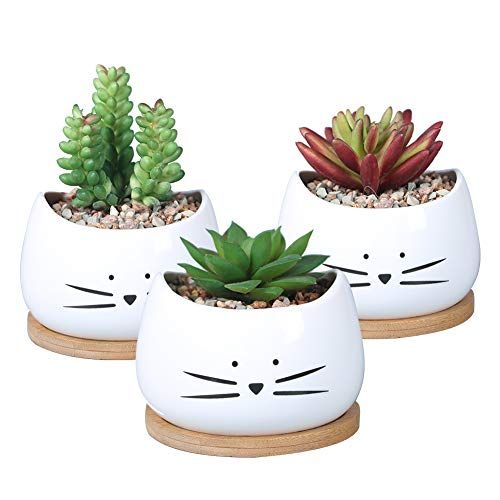 Cat Ceramic Succulent Planter Pots 