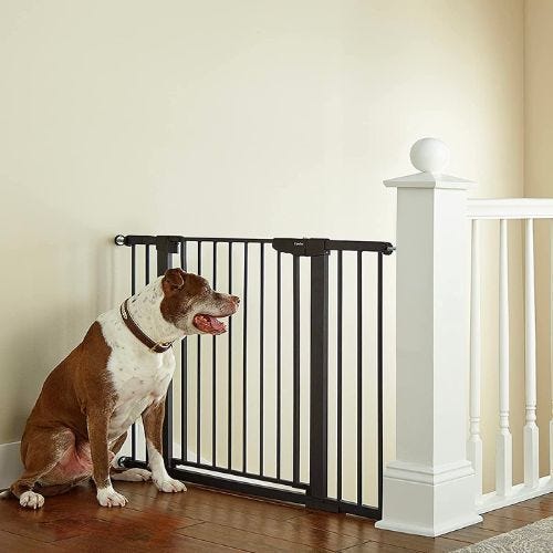 The Best Baby Gates - Picked by Parents