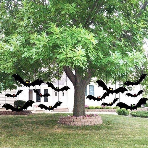Hanging Bats Hanging Bats