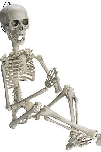 Posable Halloween Skeleton
