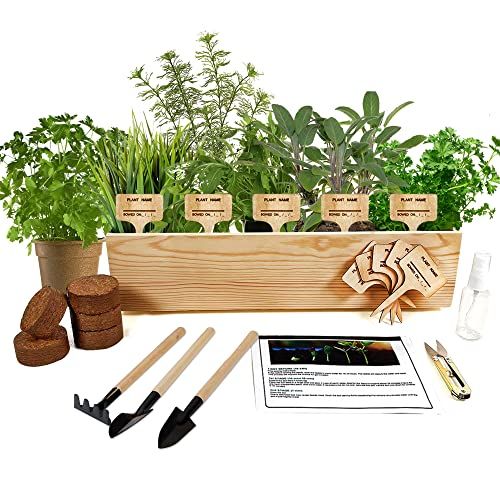 10 Best Indoor Herb Gardens - Indoor Herb Growing Kits