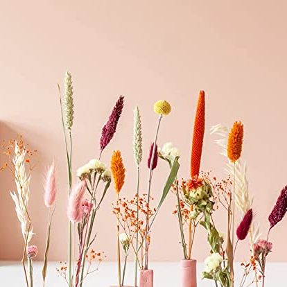 Flores secas decoración - Descubre la mejor flor seca para decorar