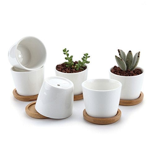 6 Macetas mini de cerámica blanca