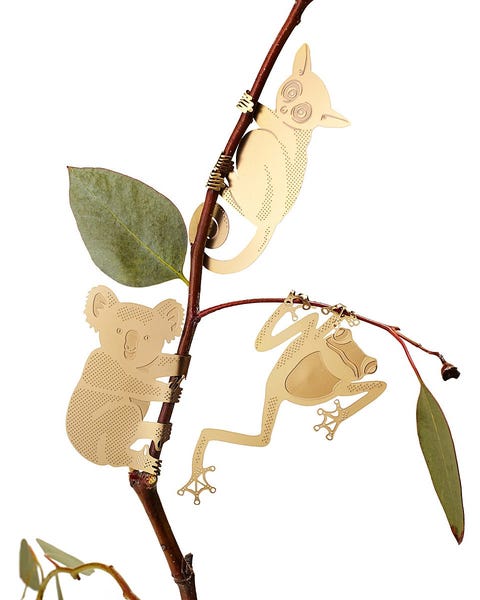 40 Best Gifts for Plant Lovers - Unique Plant Gift Ideas 2023 40 Best Gifts for Plant Lovers - Unique Plant Gift Ideas 2023