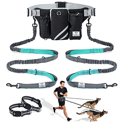 Dog running clearance equipment