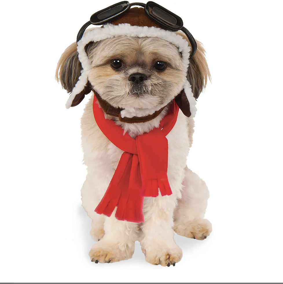 Pet Aviator Hat and Scarf Set
