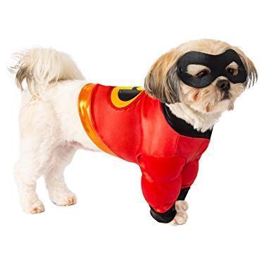 49 Best Dog Costume Ideas - DIY Pet Halloween Costumes