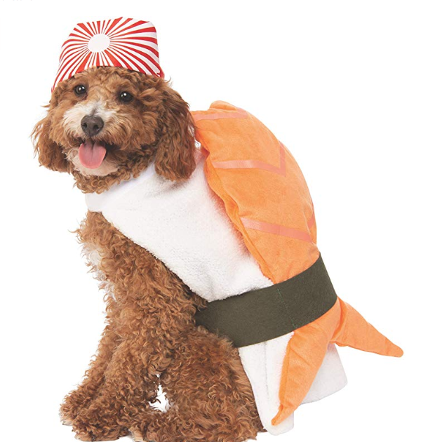 Sushi Dog Costume