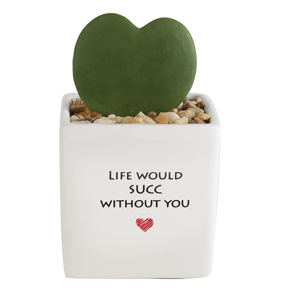 "Life Would Succ Without You" Plant
