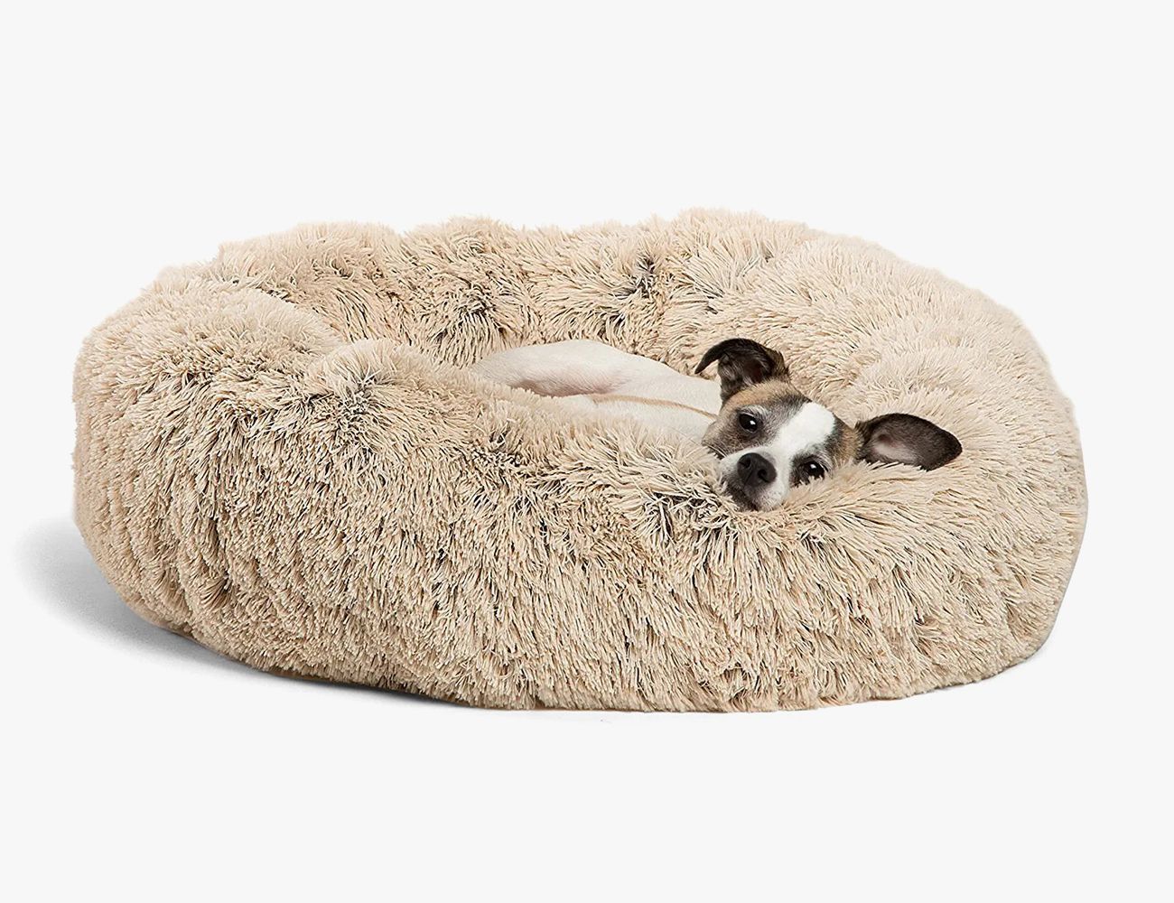 what is the best type of bed for a dog
