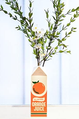 Carton Inspired Vase 