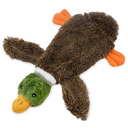 2-in-1 Stuffless Squeaky Toy