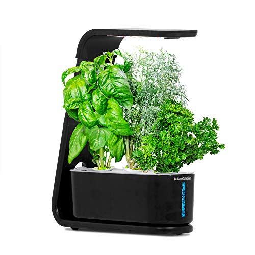 12 Best Indoor Herb Garden Kits of 2024, Tested by Experts