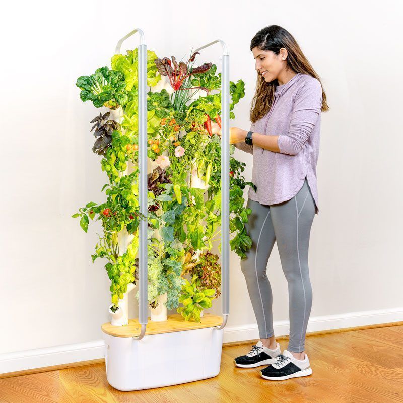 12 Best Indoor Herb Garden Kits of 2024, Tested by Experts