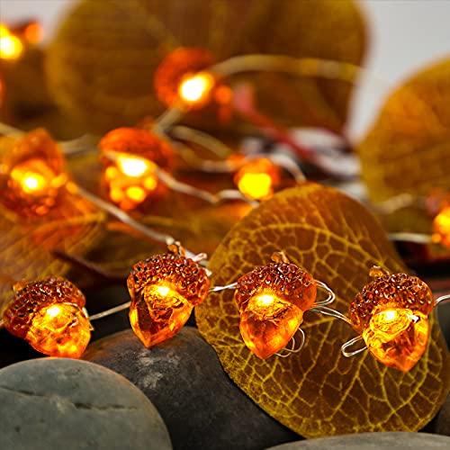 Acorn String Lights