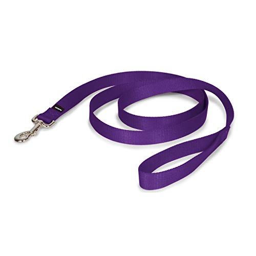 Best Dog Leashes for 2022 - Dog Leash Recommendations