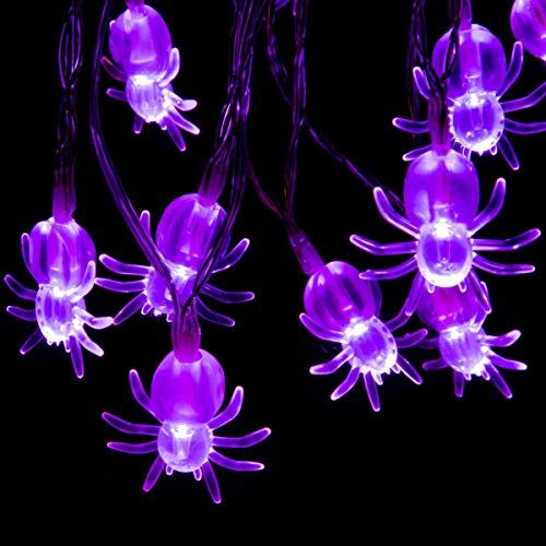Purple Spider Lights