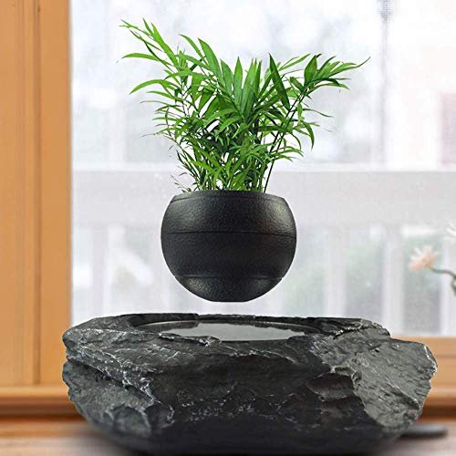 7 Best Levitating Planters 2023 - Unreal Floating Planters